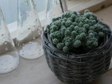 p1040285